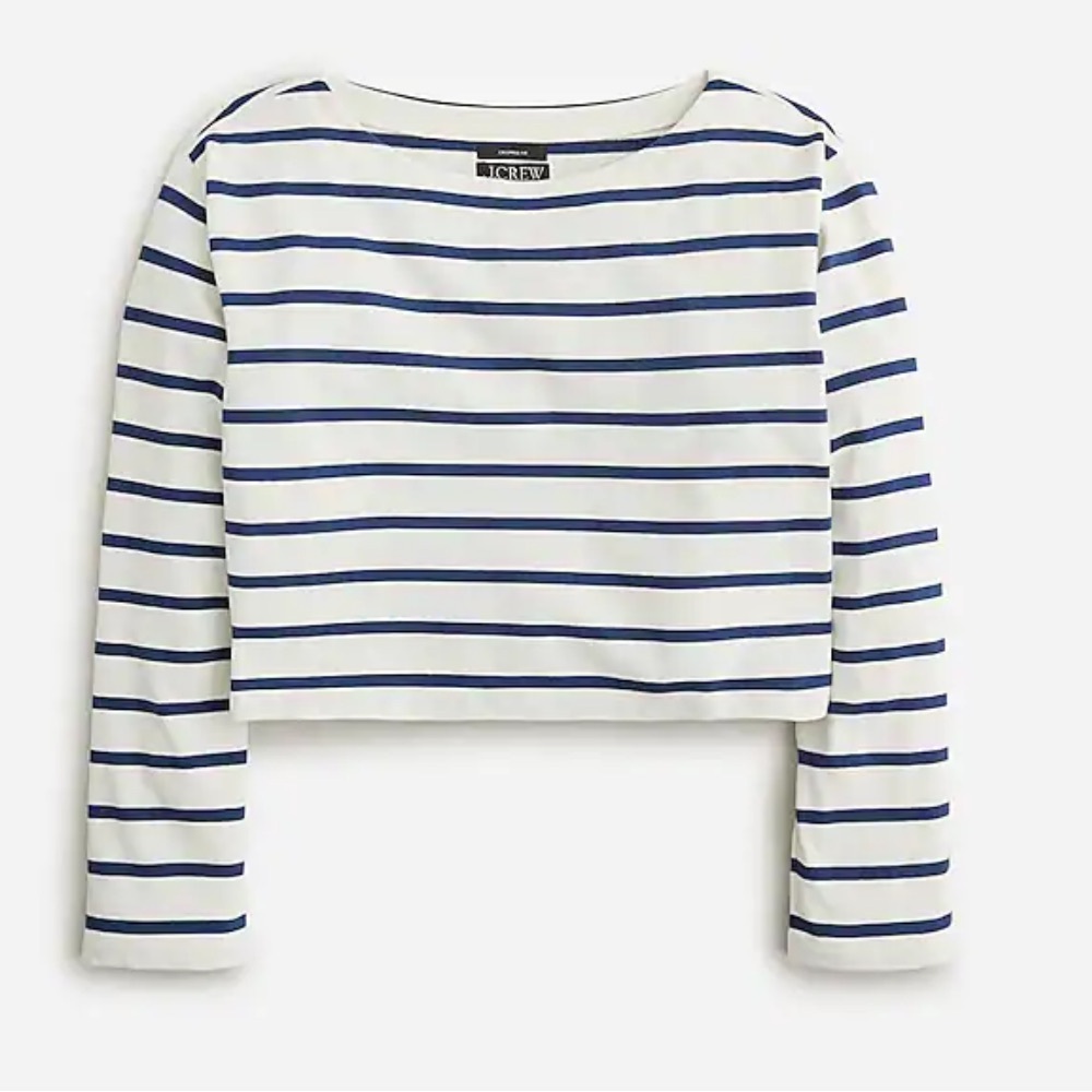 J. Crew Blue and White Striped Long Sleeve Tee